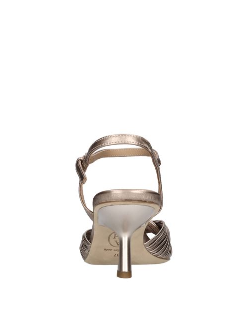  ASH | JANIS LUXORCHAMPAGNE